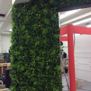 イベント用の壁面緑化